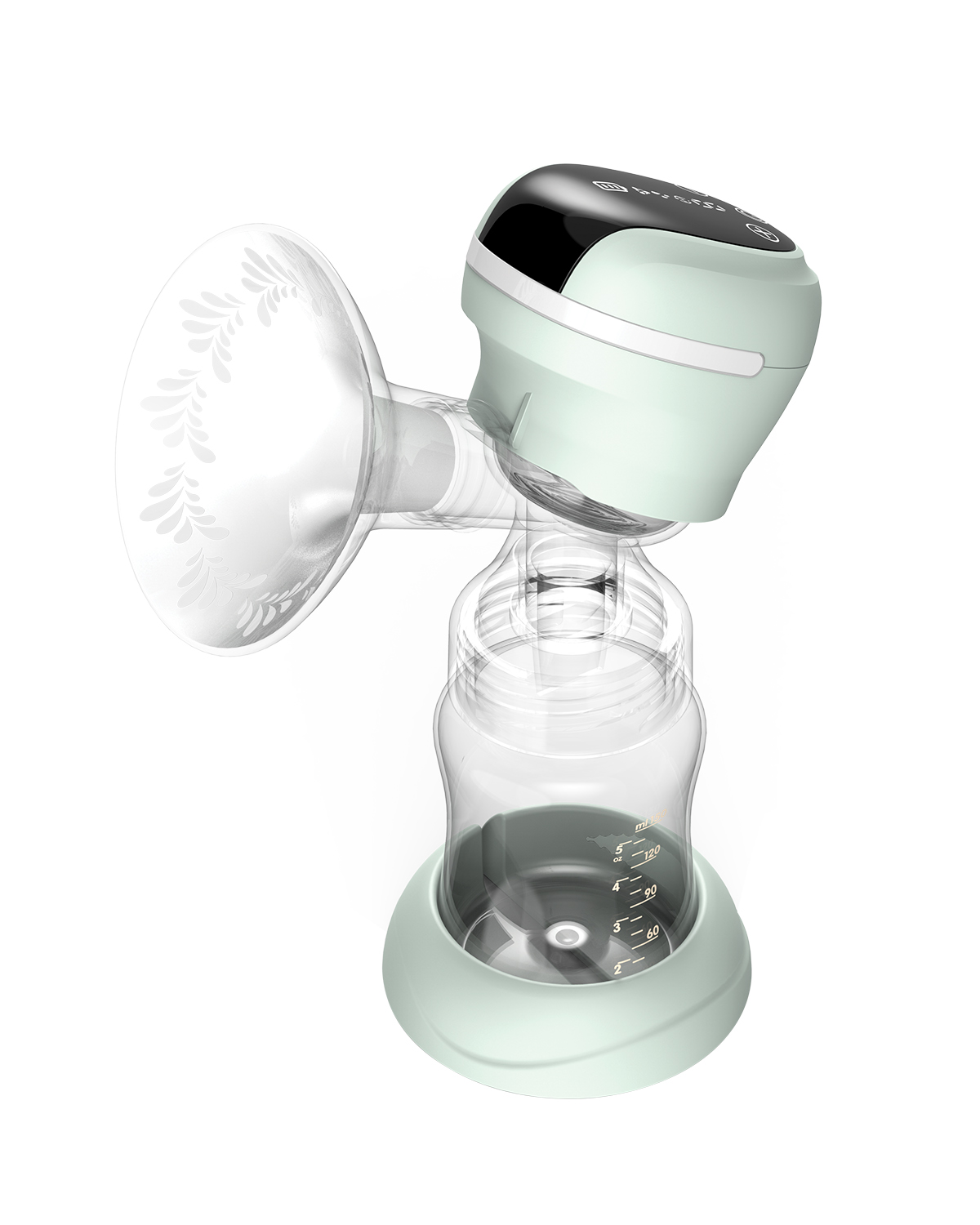 Kikka Boo leia plus Kikka Boo leia plus